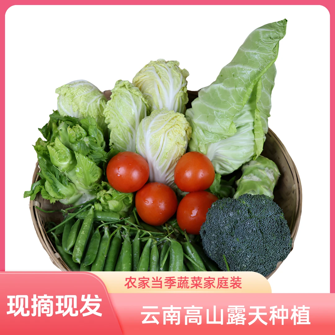 云南高山露天种植蔬菜大礼包