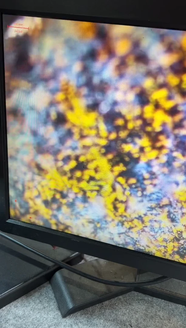 【闪购商品】茶盏11@建窑建盏危敏捷