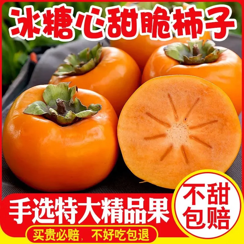 新鲜采摘爽脆香甜多汁应季山西巧克力脆柿