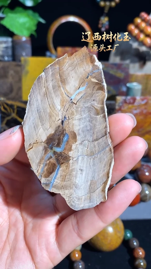 未镶嵌-硅化玉天然北票硅化玉手串原石