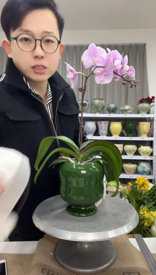 【12.19】花盆链接 高： 15 口：9.5