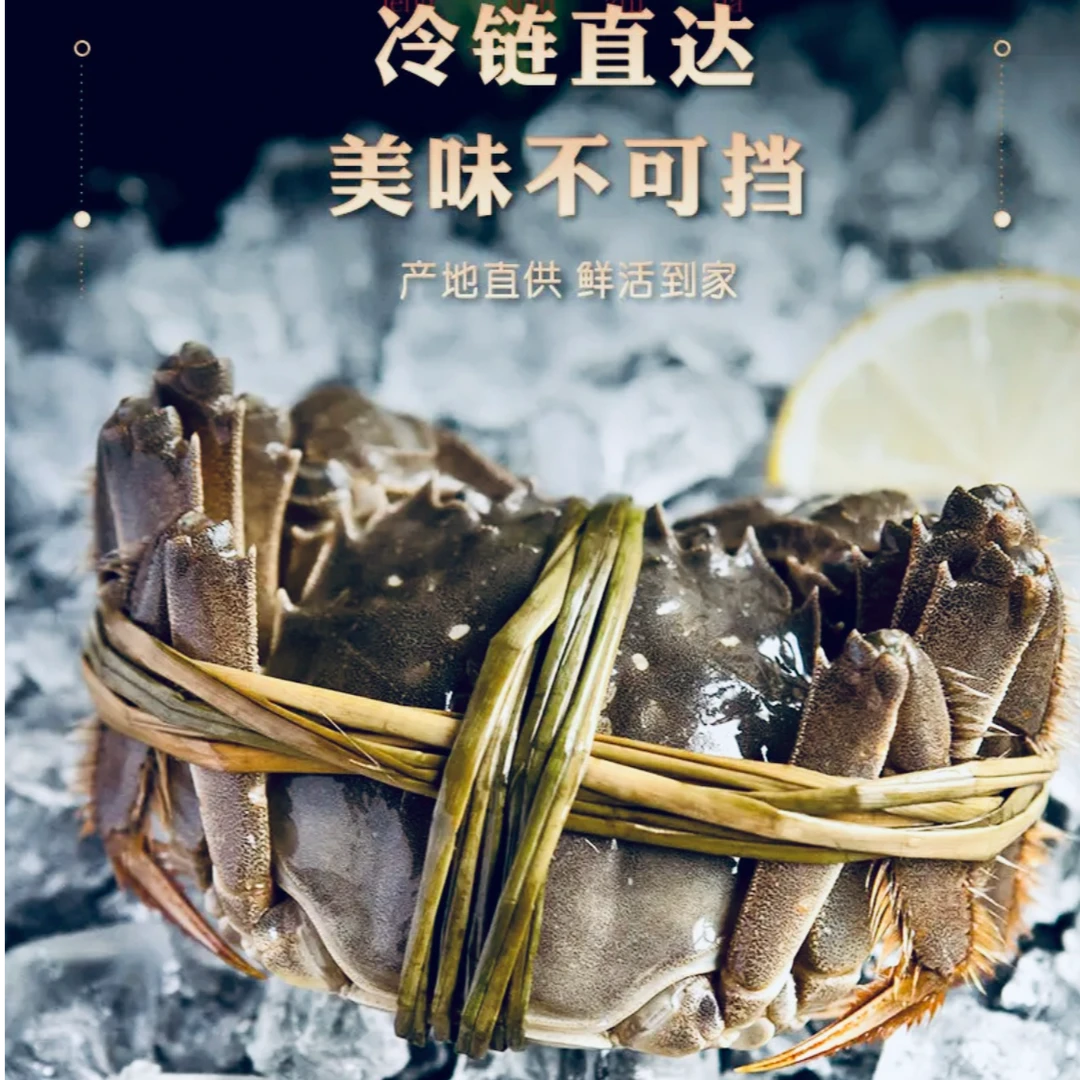 【活蟹】江苏洪泽湖精品大闸蟹全公（3.0-2.7两）8只10只12只礼盒装