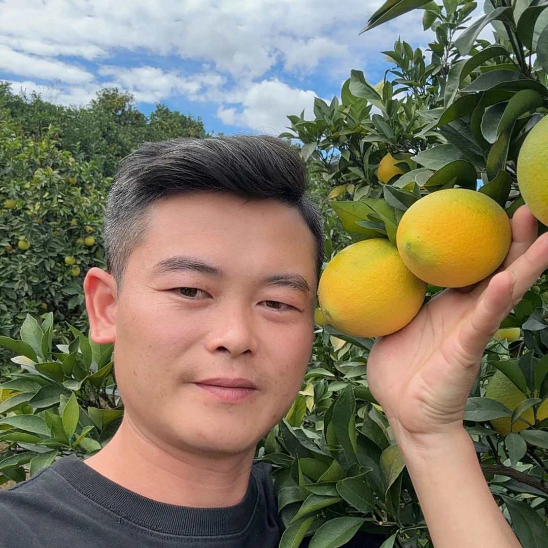 顺丰包邮赣南脐橙产地直发应季水果新鲜采摘香甜多汁橙子4.5斤9斤
