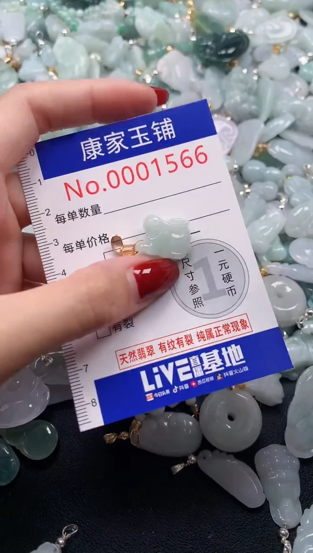 颈饰未镶嵌翡翠1566