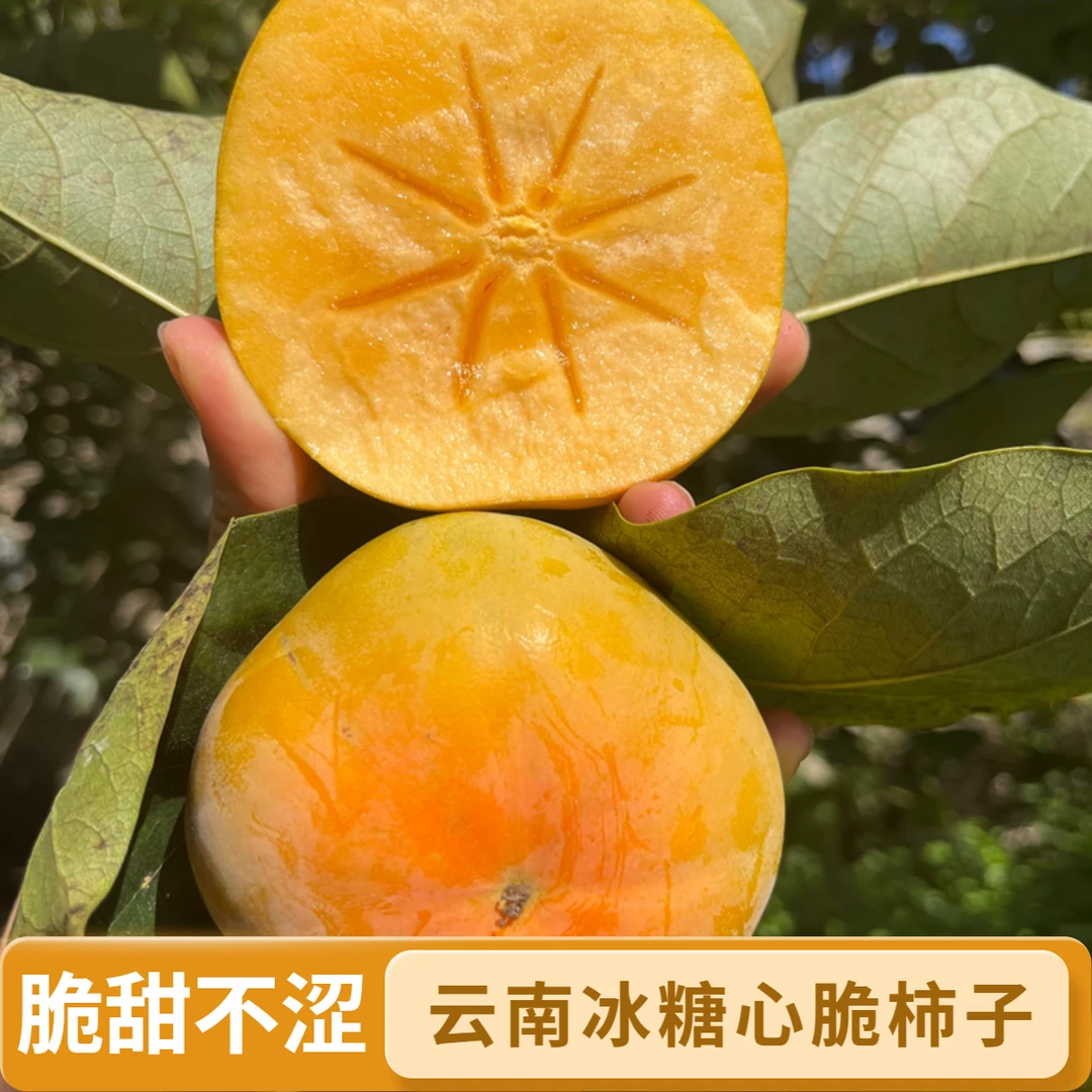 云南宝山次郎甜脆柿子巧克力糖心脆柿新鲜现摘脆甜多汁无籽水果