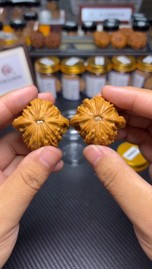 文玩核桃把件140磨盘40
