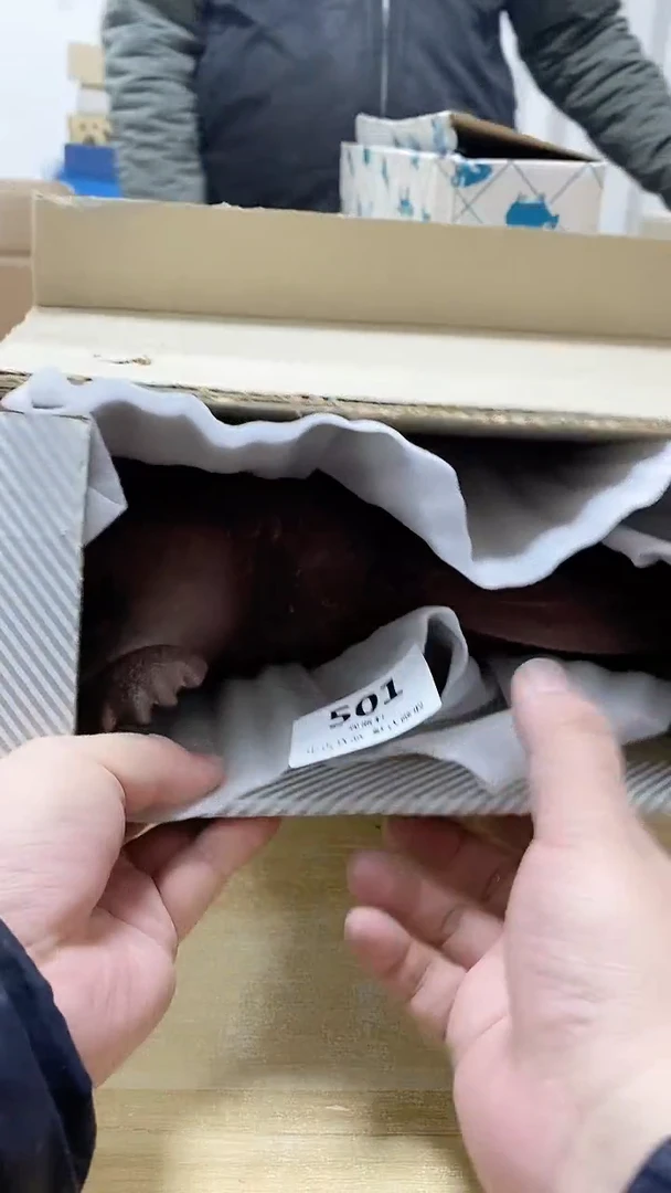 【闪购商品】瓷片501观器轩欢迎您