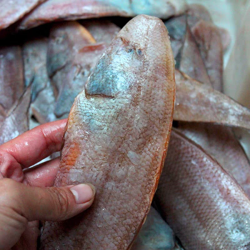 海捕牛舌龙利鱼新鲜舌头鱼海鲜踏板鱼冷冻宝宝辅食舌鳎米鱼鳎目鱼