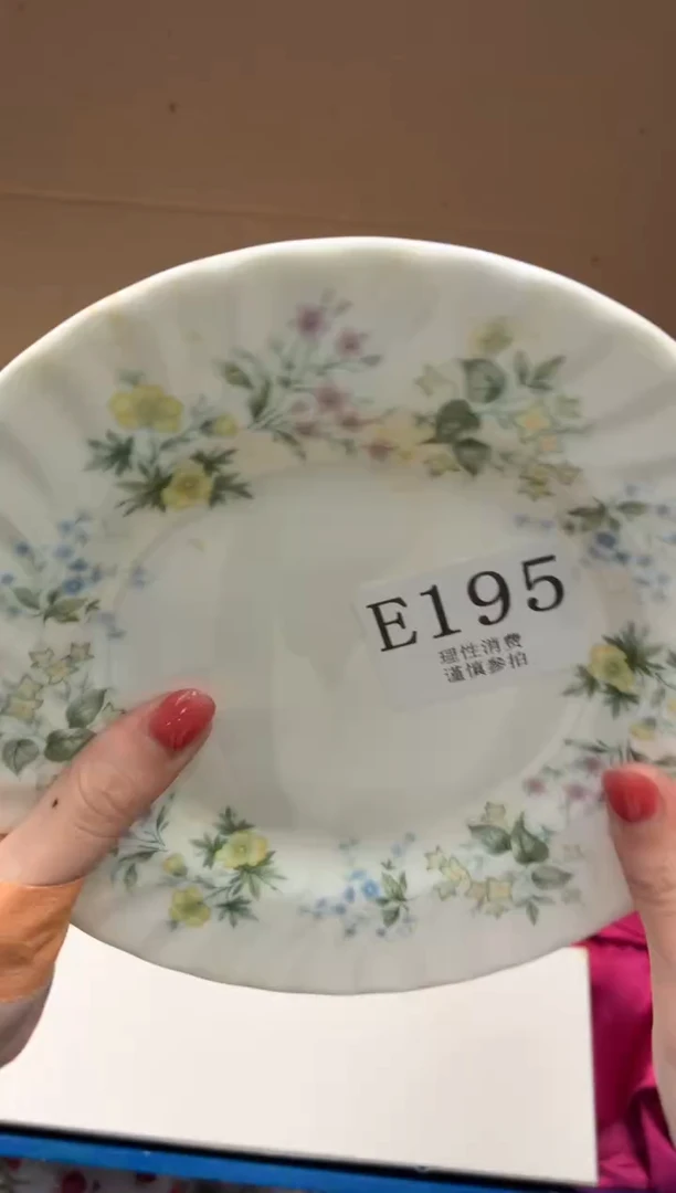 瓷片乐*静       E195