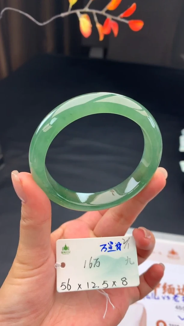 未镶嵌手镯翡翠翡翠自带#送人#，假一赔三