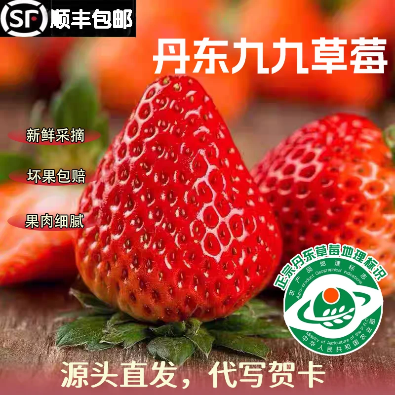 丹东奶油草莓头茬果丹东99牛奶九九草莓孕妇新鲜水果顺丰包邮直发