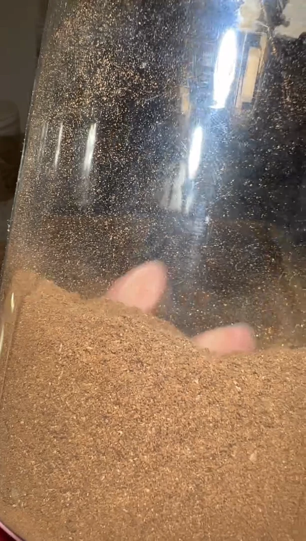 【闪购商品】沉香沉香碎屑加里曼丹5克