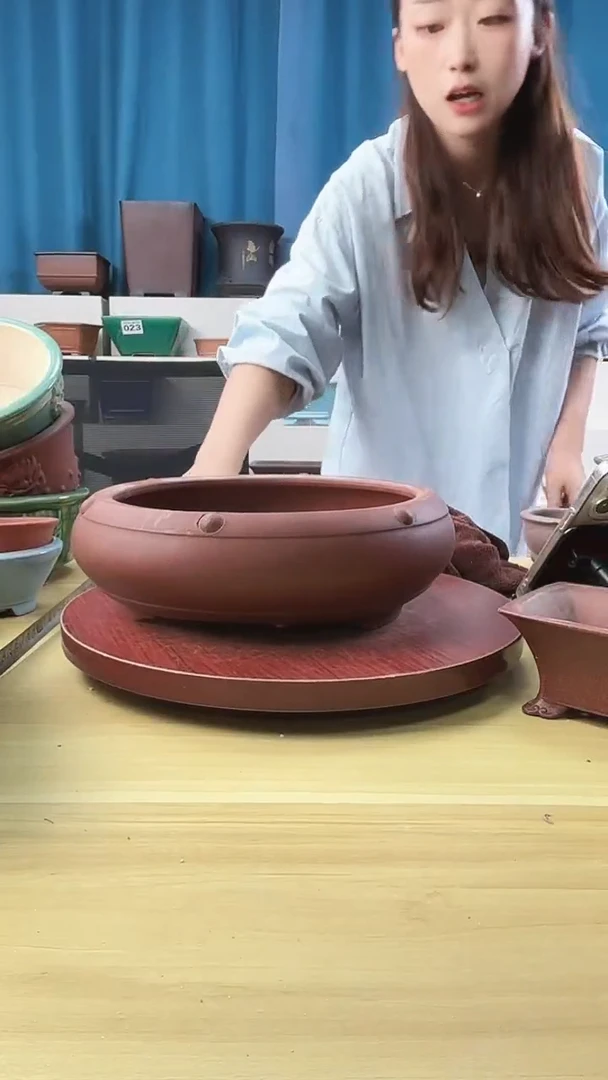 紫砂花盆花盆浅草紫砂花盆
