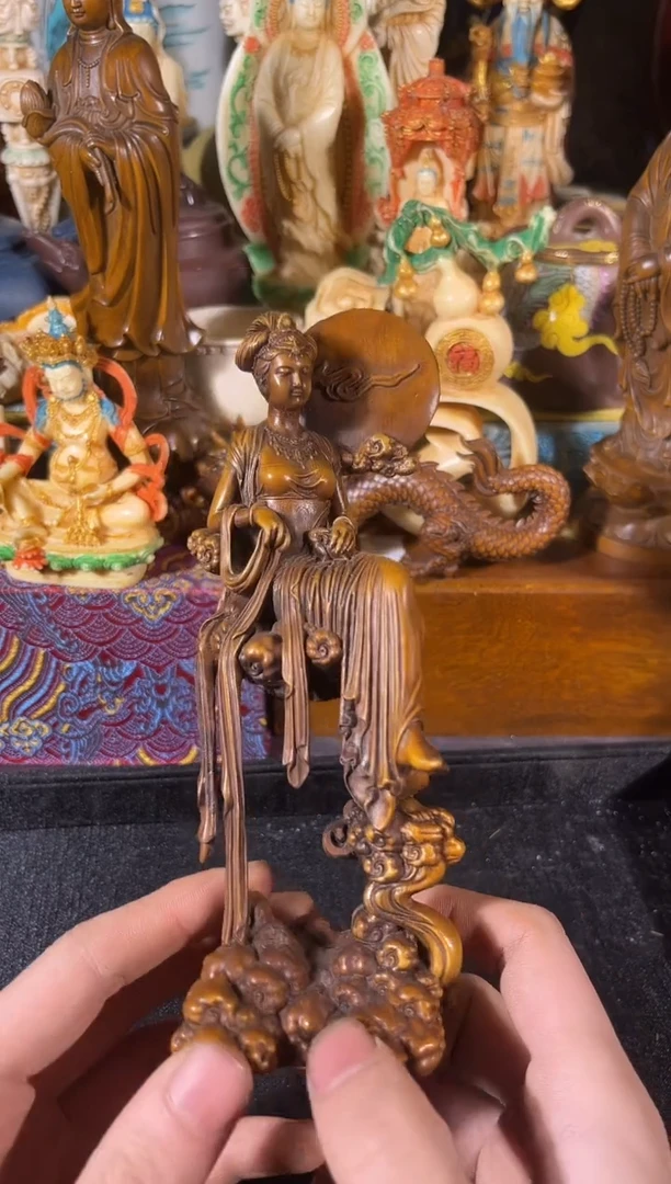 黄杨木11111111111