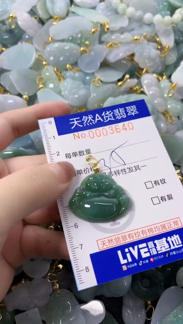 颈饰未镶嵌翡翠天然A货翡翠