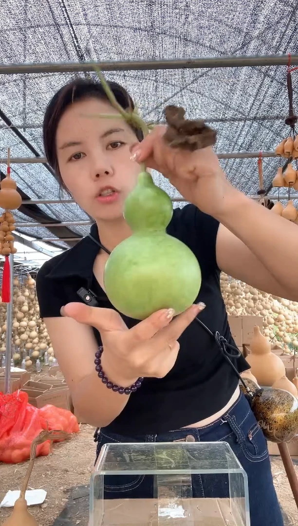 964天然葫芦摆件 一物一拍龙头不保售后微瑕疵