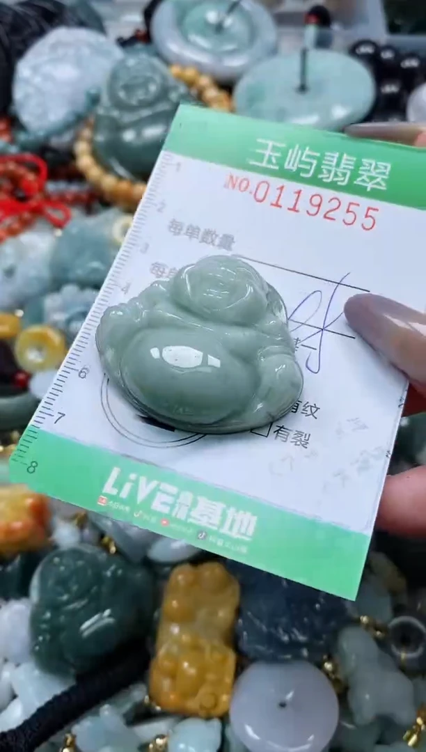 翡翠未镶嵌颈饰闪购0119255