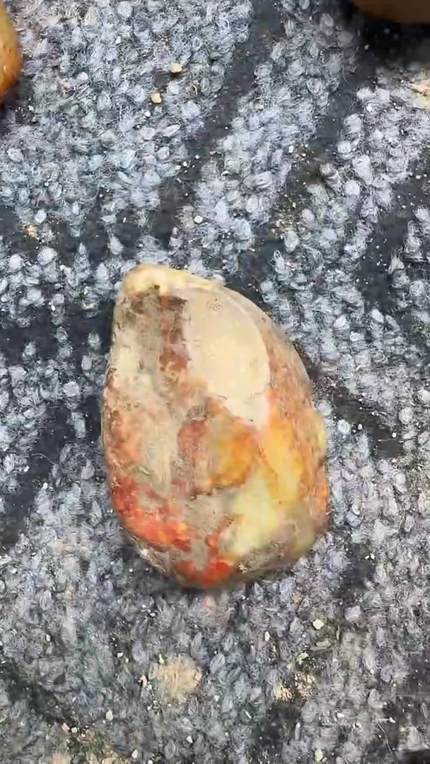 未镶嵌和田玉挂件1