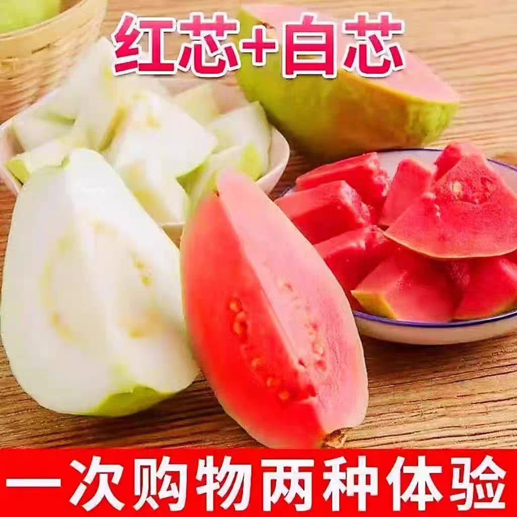 广西玉林现摘新鲜红白心双拼软糯香甜芭乐番石榴应季水果【礼盒装】