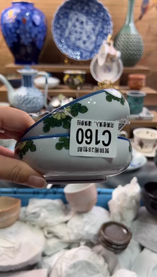 瓷片仙*掌       C160