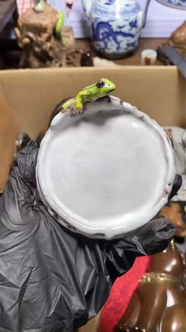 【闪购商品】瓷器瓷器瓷器瓷器