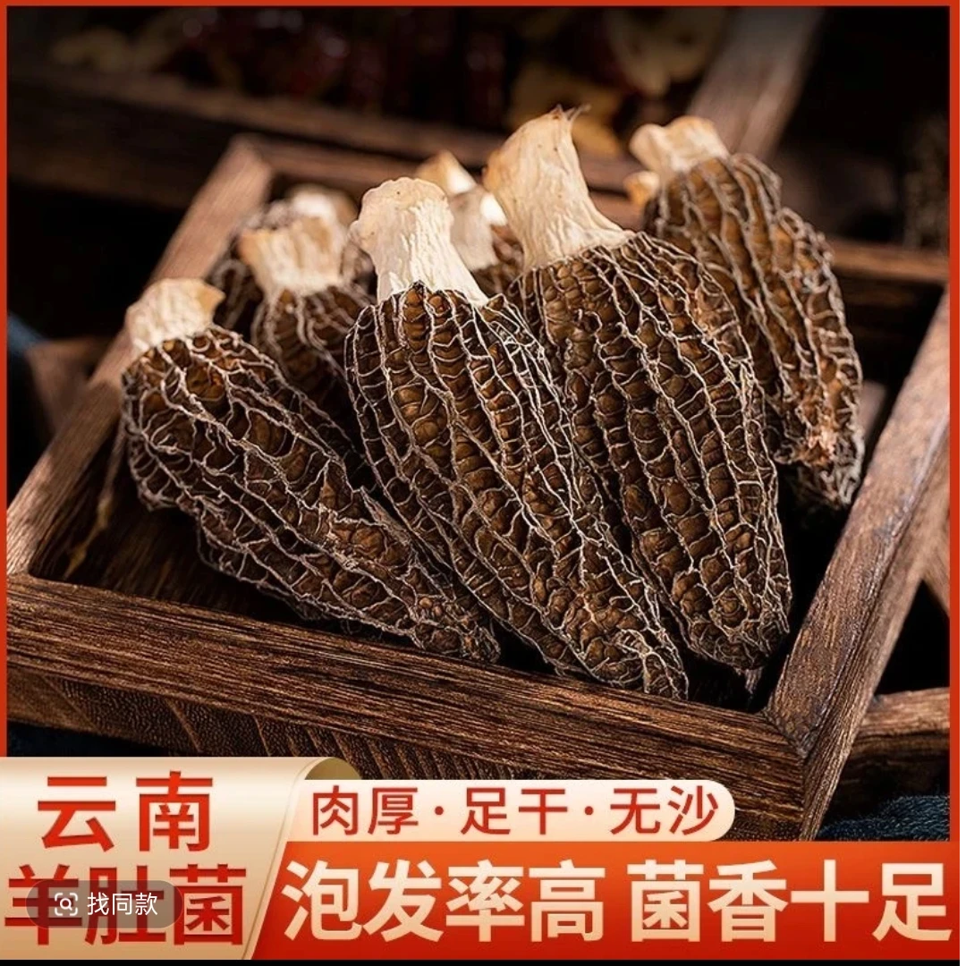 羊肚菌4-6cm云南特产羊肚菌菇煲汤美味营养