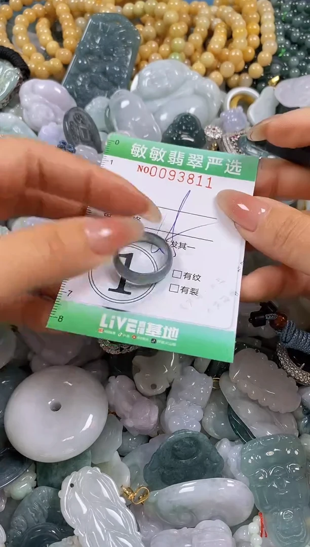 【闪购商品】翡翠颈饰未镶嵌闪购0093811