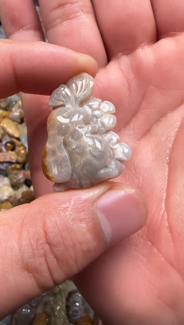 【闪购商品】硅化珊瑚（珊瑚玉）颈饰未镶嵌512