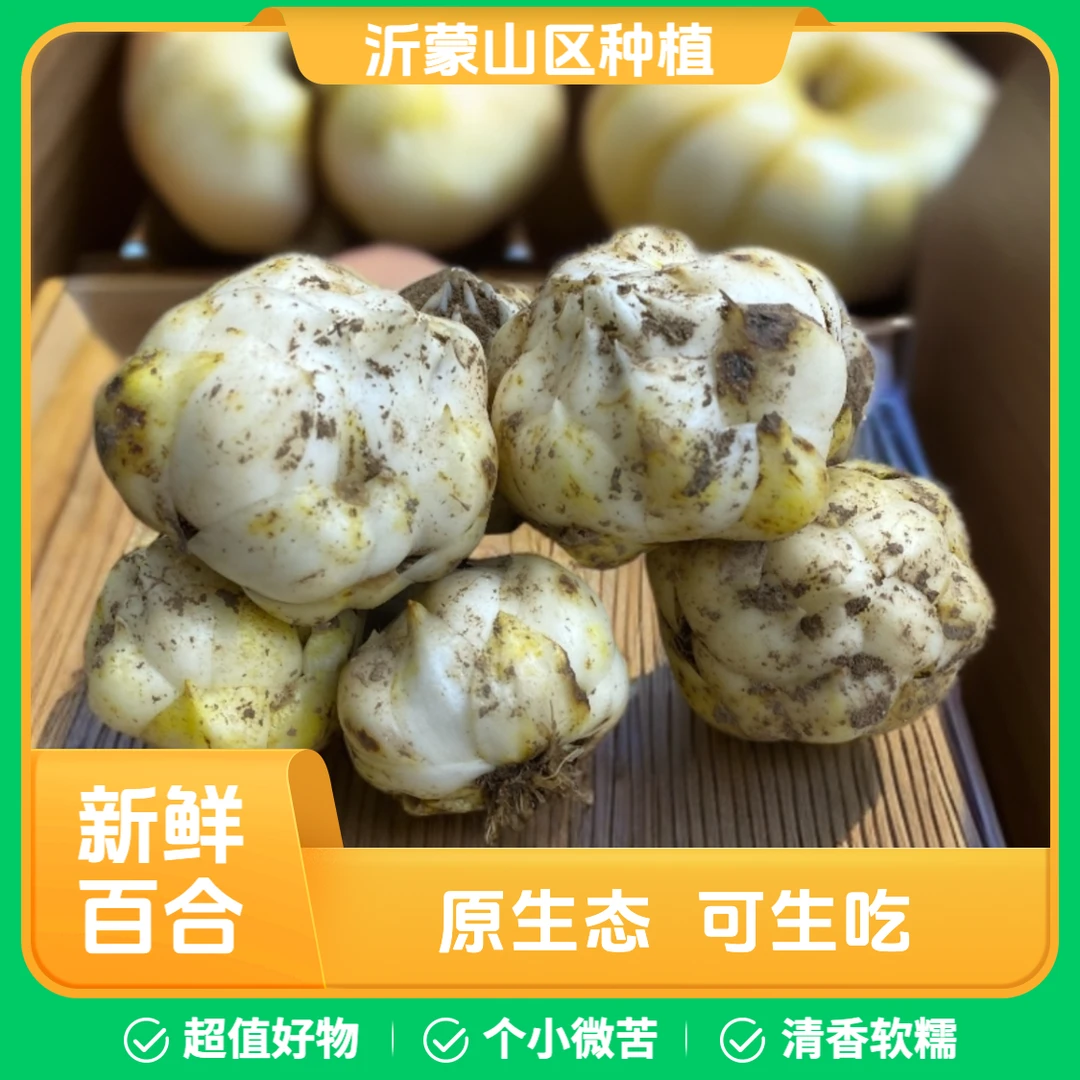 可生吃新鲜现挖食用百合口感微微苦软糯甜百合清香时令新鲜百合