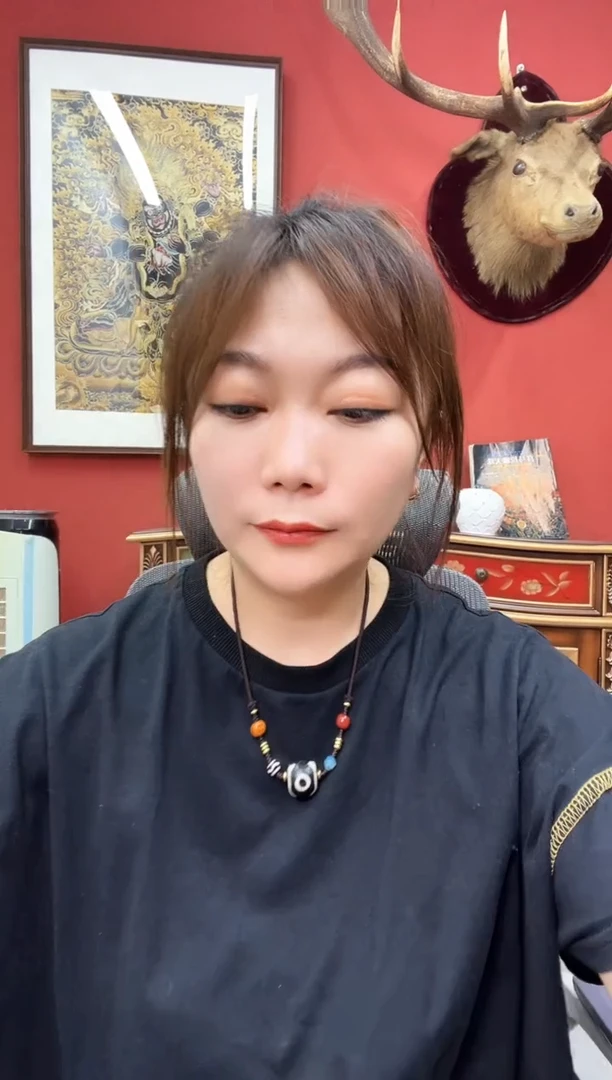 玛瑙/玉髓（覆膜）颈饰未镶嵌3