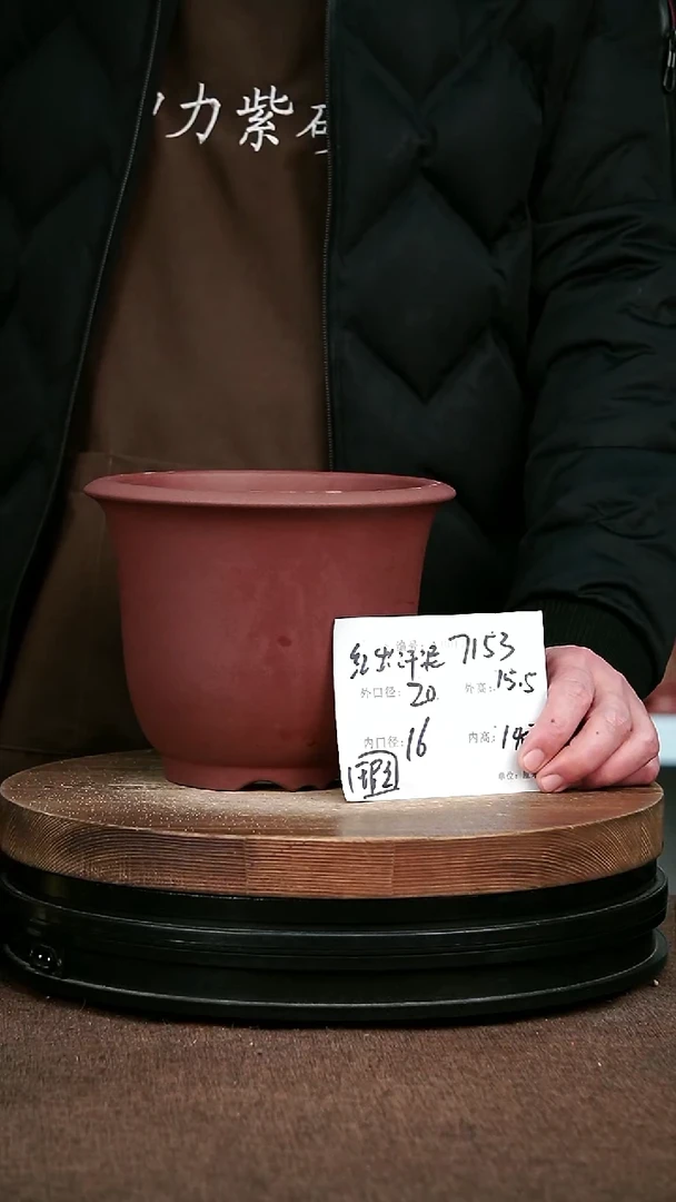 紫砂花盆花卉园艺微瑕7153