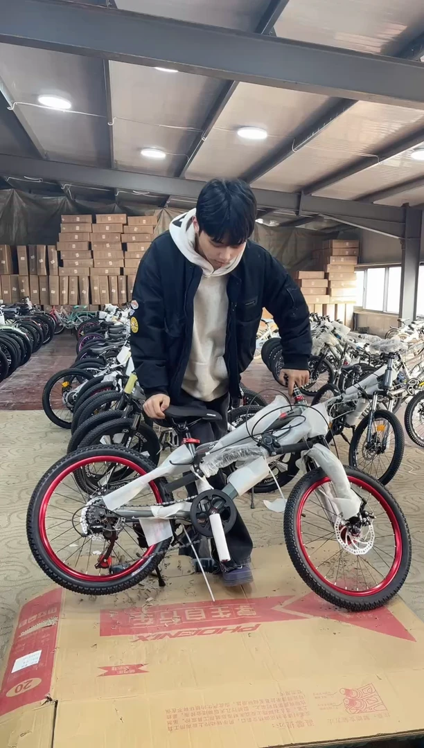 20寸-7速-灰【默认微瑕，不退不换，介意勿拍】