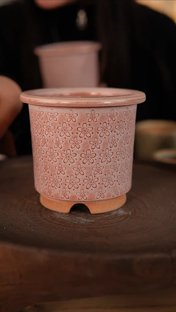 【闪购商品】红陶1-30-256默认有瑕口9