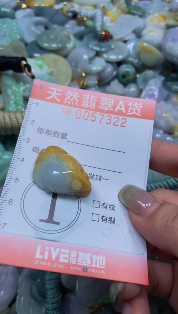 翡翠未镶嵌颈饰闪购0057322