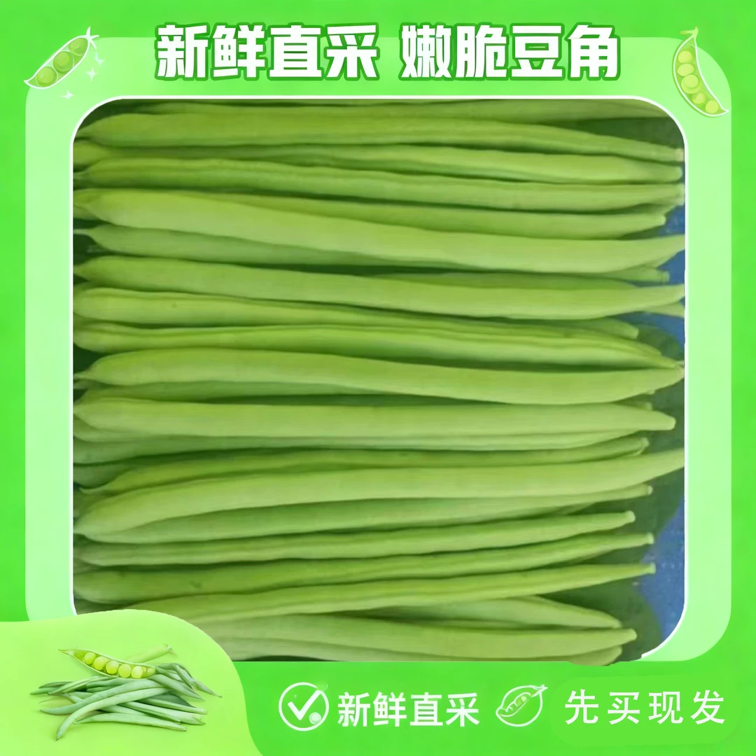 云南高山露天种植新鲜四季豆小金豆5斤装一整箱(纸箱包装)