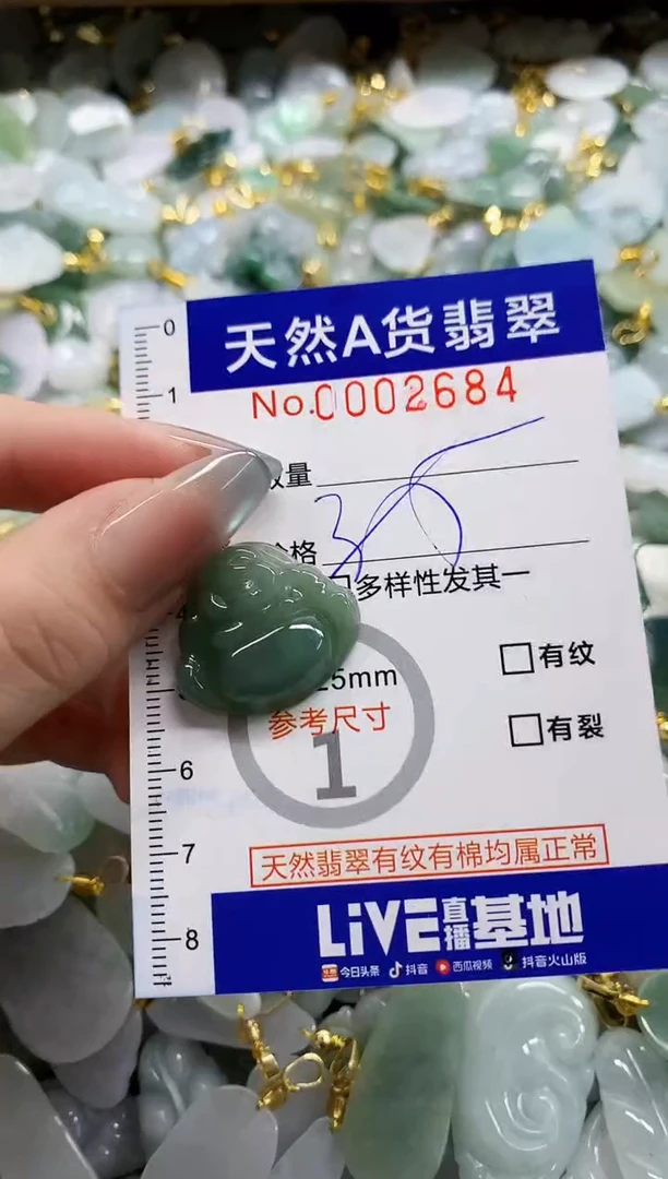 颈饰未镶嵌翡翠天然A货翡翠 多样性发一