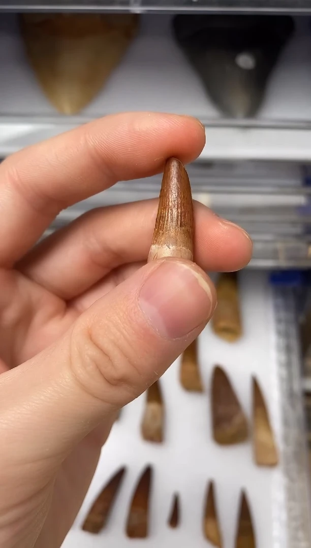 精美摆件创意礼物家居配饰新年礼物个人收藏