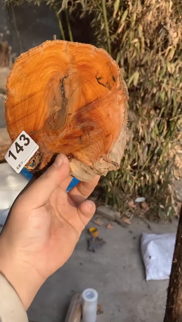 【闪购商品】柏木太行陈化崖柏（津诚林）切片