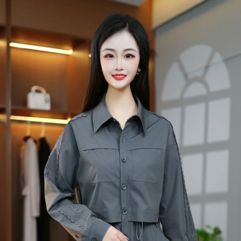 气质秋季简约新款百搭时尚减龄收腰显瘦百搭长袖连衣裙M-4XL