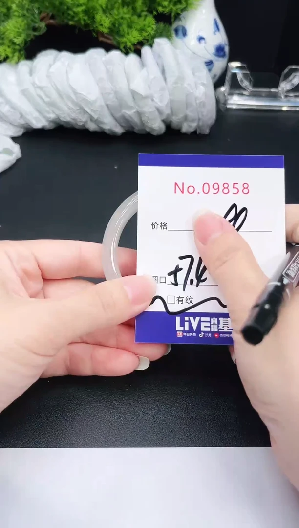 未镶嵌手镯翡翠9858