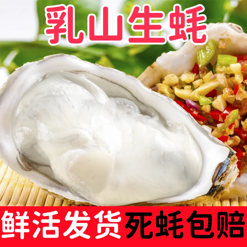 山东威海乳山生蚝刺身牡蛎海蛎子海鲜水产特大生蚝5/9斤京东包邮