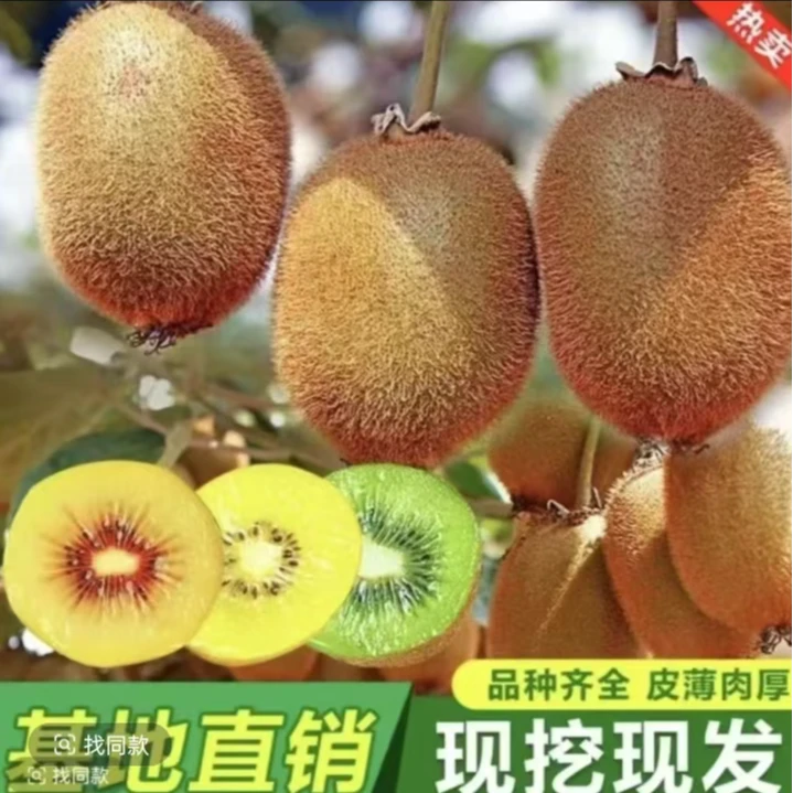 【猕猴桃树苗】买一颗送一颗公母同株品种猕猴桃南方北方种植果树苗