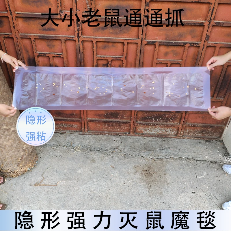 隐形老鼠贴强力粘板粘鼠克星灭捉粘鼠神器胶扑家用加大正品一窝端