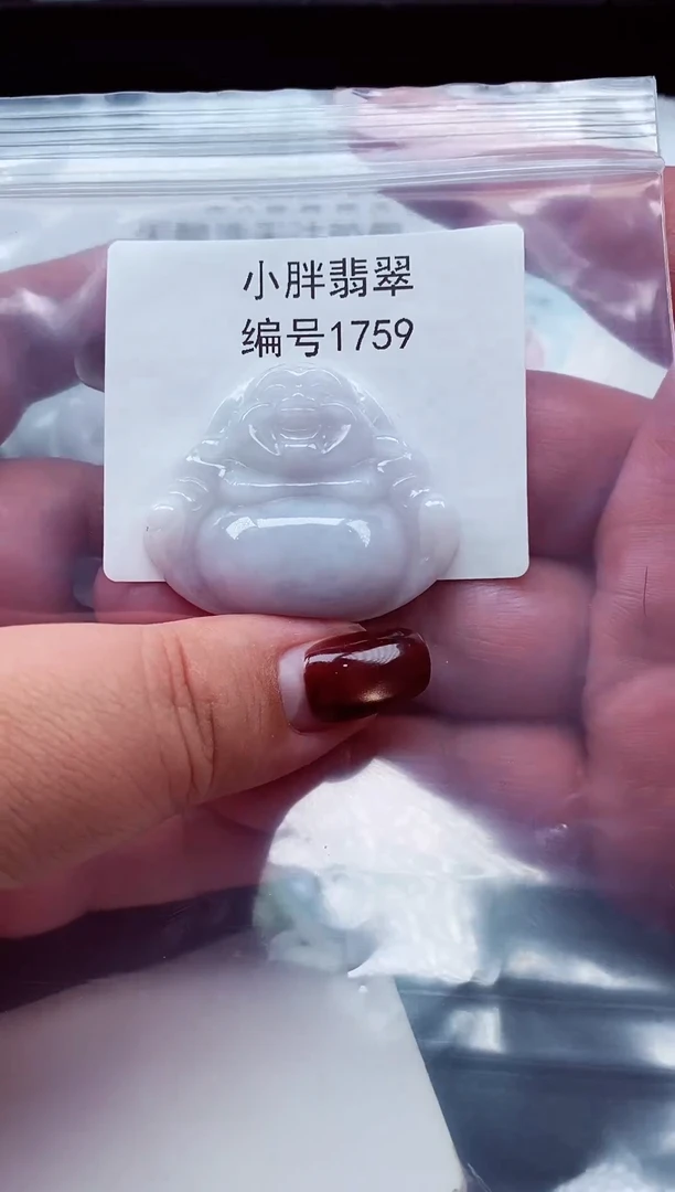 颈饰未镶嵌翡翠缅甸天然A货翡翠1759