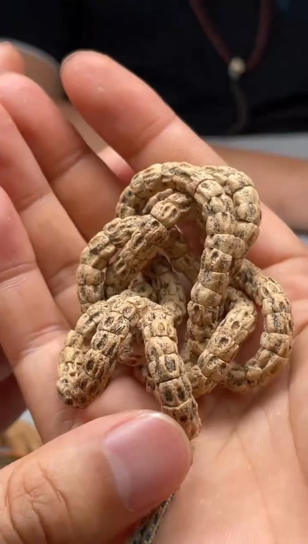 柏香籽/百香籽吊坠百香籽大肠5