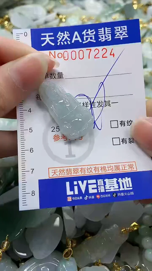 颈饰未镶嵌翡翠纯天然a货翡翠