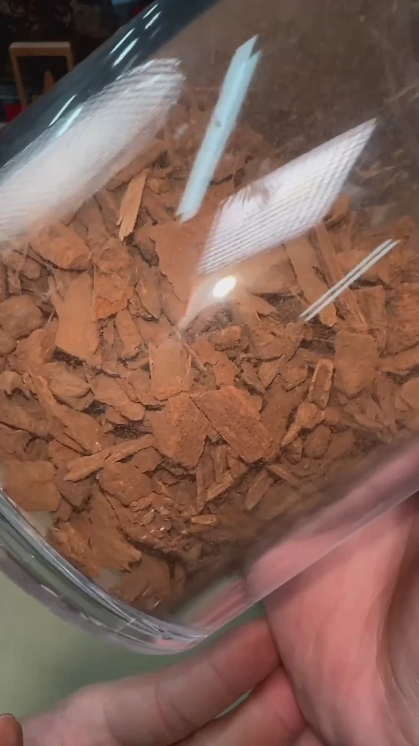 越南富森红土碎料1g装