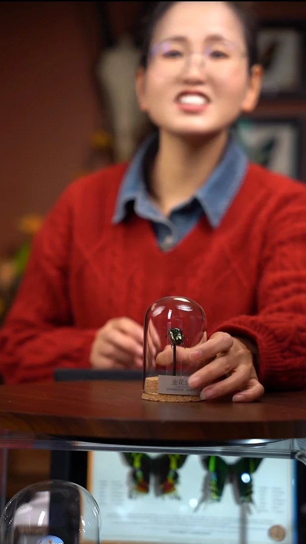 N693金花金龟试管标本