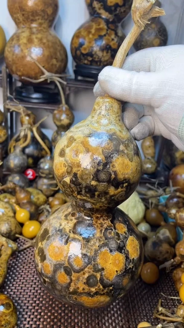 【闪购商品】葫芦葫芦葫芦葫芦葫芦