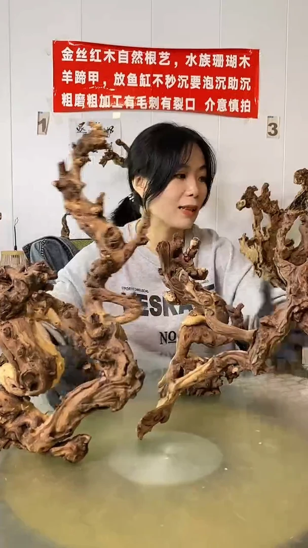 香榧木郐****界金丝红木 羊蹄甲
